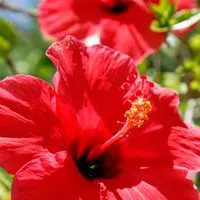 🏝️ リゾート民泊“立ち上げ実践室” 🐚