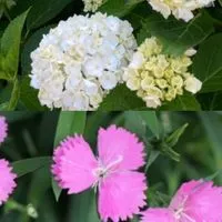 独り言　夫、旦那、妻への愚痴吐き場　リプ禁止、リアクション禁止