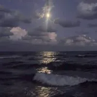 　　𝑽𝒊𝒐𝒍𝒆𝒕 𝑭𝒊𝒛𝒛 ＿＿