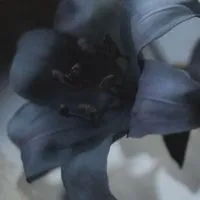 I Wanna Be Your Slave 【ヤンデレ/メンヘラスト緩ハント】