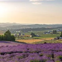 動物好き仲間の集い🎶