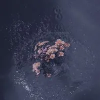 通信制高校生の友達作りオプ