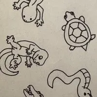 爬虫類を飼っている人、爬虫類が好きな人、みんな集まれ‼️🐢🦎🐍