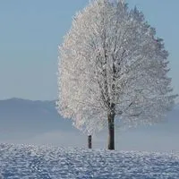 ❤️❤️感恩相遇大家庭❤️❤️