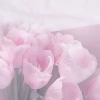 海 が 綺 麗 で す ね　．𓏸𓈒𓂃　〖　hq 夢　〗