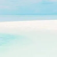 🌳✨ライブトーク🎙️自己紹介部屋💁💁‍♀️