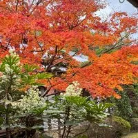 東広島夜練🚲ロードバイク