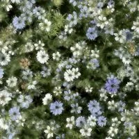 Ｊ－ＰＯＰ也♡緩ハント