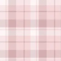 ライトで雑談‼️