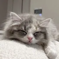 非リア･リア充おいで〜‼️