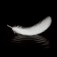 ブラフラを応援しようの会