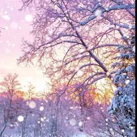 みんなで話そ！雑談、ライトしたい子集まれ～！