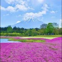 🆕新規オープン🚶散歩の途中🍀気軽にお立寄り下さい