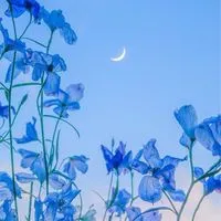 精神疾患者🌿憩いの場