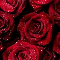 愛沢のお知らせ🪽🫧