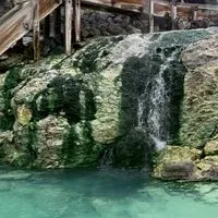 FX  GOLD配信　Noah