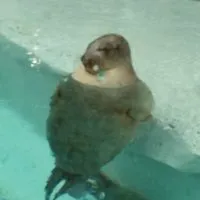 ゲーム雑談するよ〜