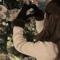 ‪ෆ‪.*･ﾟ垢抜け秘密基地‪ 🗝⋆✦