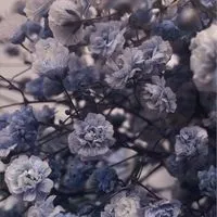 みんなで楽しく歌枠したり雑談したりゲームしたりなんでもしよ〜！！！！