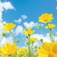 女性限定💫楽しい時間を✨人事部