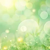 🐢ゆるふわ🌈メンタルーム🐢