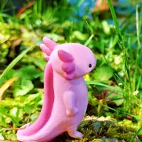 独り言🌻呟き〜ひとりじゃない〜