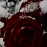 絶対安全ドラッグ ＊戦争屋緩也ハント