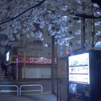 き ｯ と 夢 ﾉ よう ナ　　.ᐣ　　︴　　TGAK 緩 也