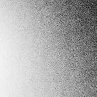 イソのこと応援したる！