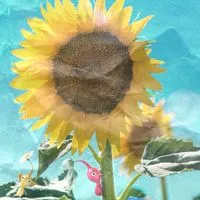 #PikminBloomꔛꕤ*｡ﾟ