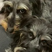 本気の美容師達