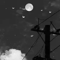 〈学生限定〉彼氏彼女がいない人、！