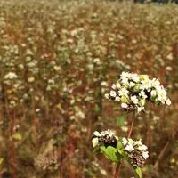 2026年8月出産予定🫶