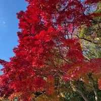 お片付け&潜在意識で豊かさを拡大