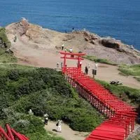 第41回管理栄養士国家試験合格