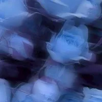 みんなでsinger（歌手）にならない？君が主役！