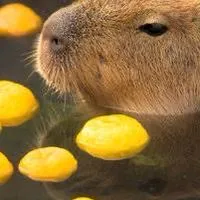 学生部屋！(不登校大歓迎)