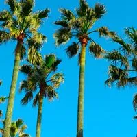 【辻堂】🧡シール情報交換🧡