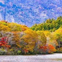 諏和組(地理系編集系)