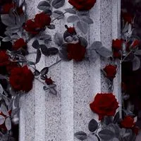 ⟡  折恋   ❤︎  緩也  ＿＿  .