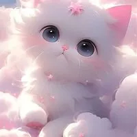 ꕤ︎︎ 【全国】ꕤ︎︎平等な対話を育む障害者と健常者の場✨Harmony Chat🕊