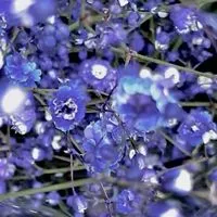 〇〇言葉特殊ハント⁉️MC実況者緩也❗️