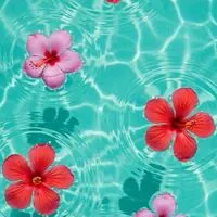 🌺50代🌺アラフィフ🌺同世代 R∞M🌺楽しい雑談🌺ライブトーク🌺