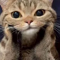 雑談とかいろいろ