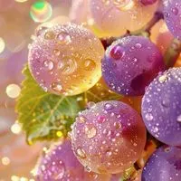 【女性限定】50代60代楽しい           🌺雑談&ライブトーク🌺