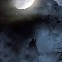 人狼ゲームオプ🐺