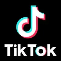 TikTok争奪戦 金魚すくい はちみつ 温泉宿