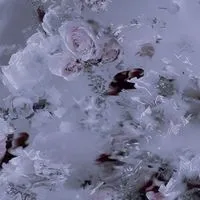 𝑀𝑦 𝐵𝑙𝑢𝑒 𝐵𝑒𝑟𝑟𝑦 𝑁𝑖𝑔𝑡ℎ𝑠