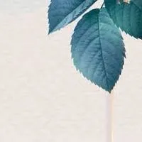 拝啓 ｰ この手紙 ❀ ２４３４壁打ちハント