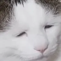 日本一緩い全也ハントって🈁らしい❣️❣️